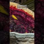 Artists Conk is a type of #mushroom found in #india..