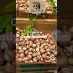 Mushroom varieties🤔🍄‍🟫🍄#organicmushroom#healthyveg#ever seen mushrooms#shortsvideo#USshorts