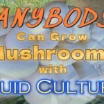 Anybody Can Grow Mushrooms with Liquid Cultures FULL Length tutorial for new mushroom growers