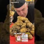 Jamur Termahal Di Dunia!! 😲 #shorts #faktaunik