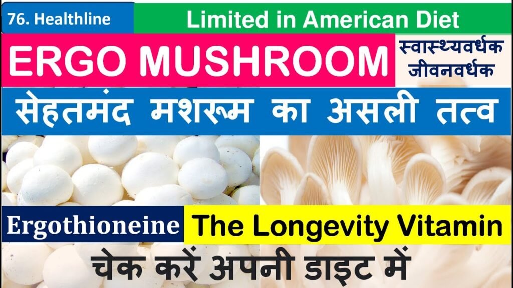Mushrooms Health Benefit | Mushroom Benefits for Health | Types of Mushroom | Oyster Mushroom | Ergo