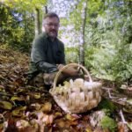 Foraging for Hedgehog Mushrooms. Identifying tree types is key! ‘Sæson’ Episode 2. Ethicurean Life