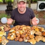 WYSYP GRZYBÓW W GARWOLIŃSKICH LASACH 27.07.25