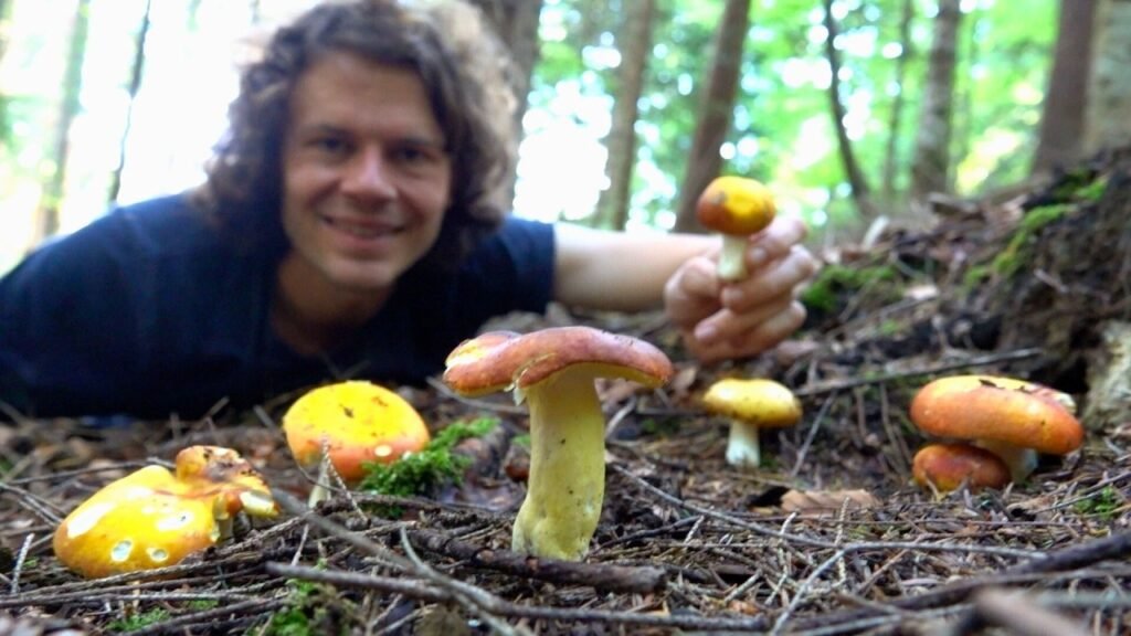 Jetzt gibt’s Pilze überall – und ein psychoaktiver Salbei?!