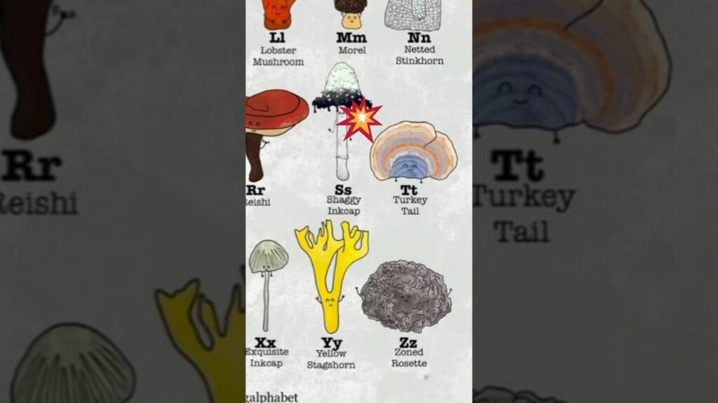 types of mushrooms 🍄 #trending #shorts #cute