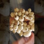 Village style mushroom curry | నాటు పుట్ట గొడుగుల కూర