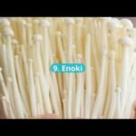 10 Types of Mushroom Extract Supplements