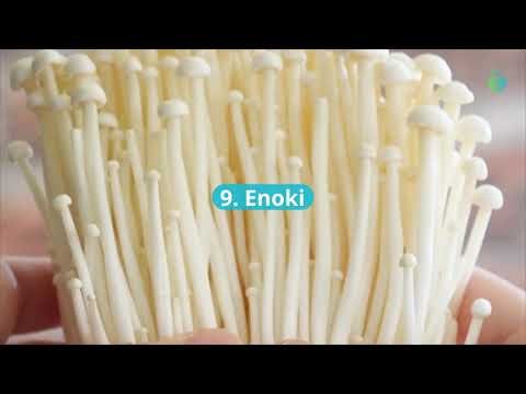 10 Types of Mushroom Extract Supplements