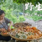 Yunnan people are currently obsessed with one thing: mushroom foraging in the mountains…【滇西小哥】