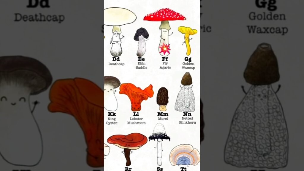 types of mushrooms 🍄 #trending #shaorts #plants #nature
