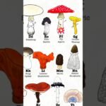 types of mushrooms 🍄 #trending #shaorts #plants #nature