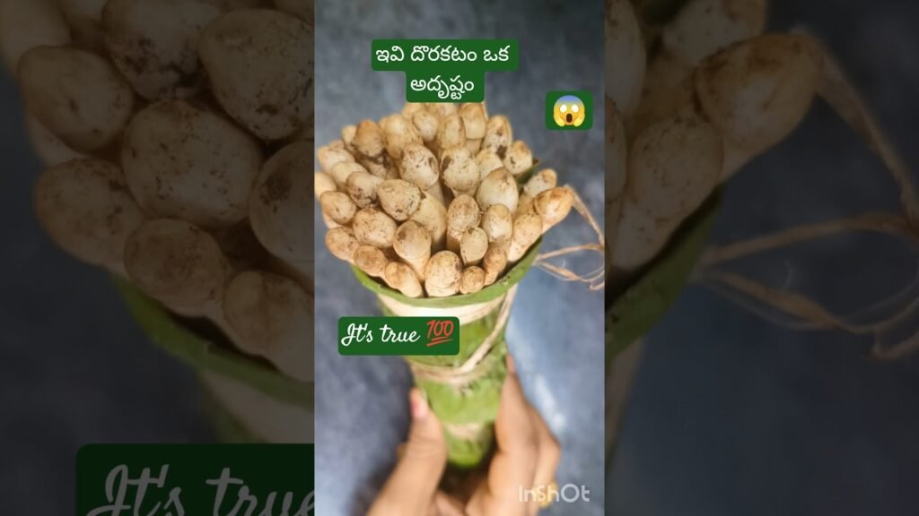 నాటు పుట్ట గొడుగులు కూర (mushroom curry in telugu)#mushroom #curry #youtubeshorts