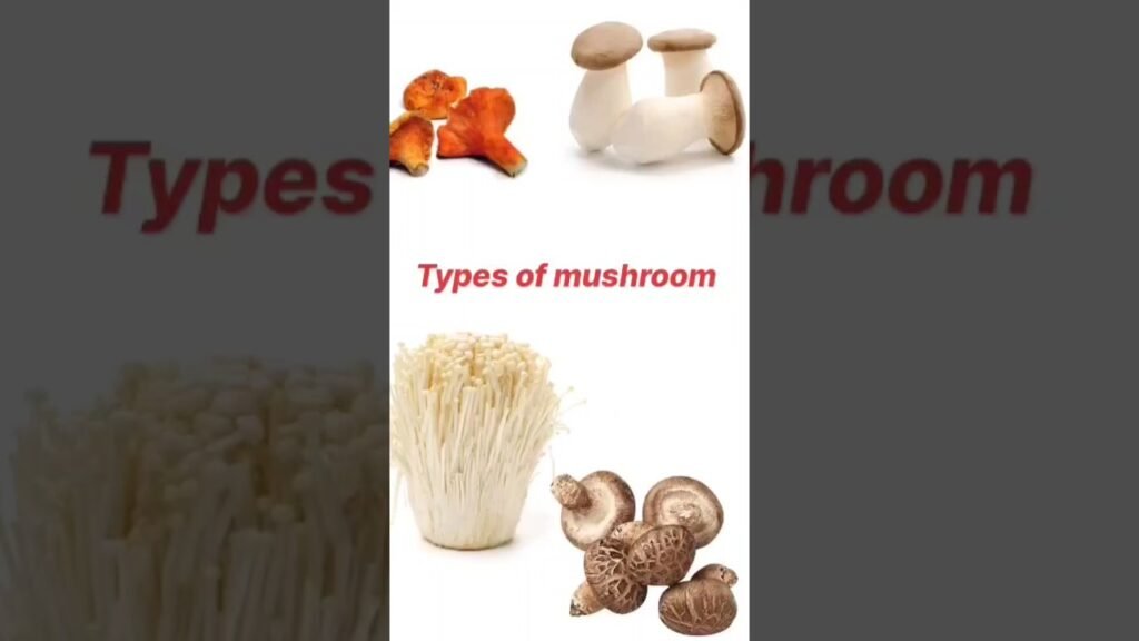 Types of mushroom// different types of mushroom name #shorts#viralshort