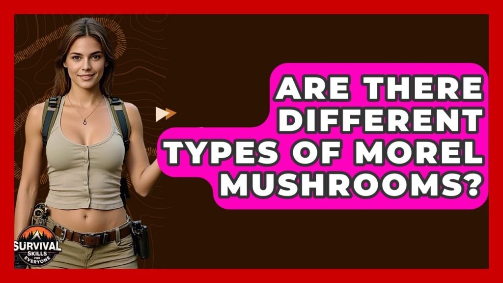 Are There Different Types Of Morel Mushrooms? – Survival Skills for Everyone