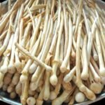 Desi mushroom ki sabji| natural mushroom| mushroom ki sabji|mushroom recipe|