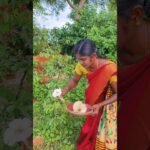 mushroom gravy with kali mudde #shorts #trending