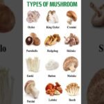 Types of mushroom