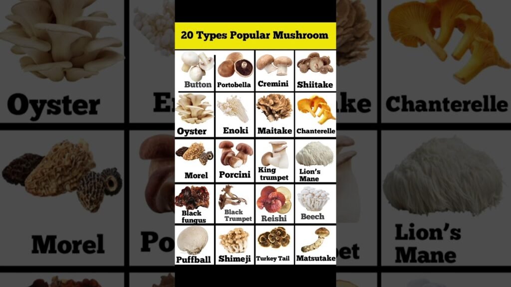 20 types popular mushrooms  | types of mushrooms | All mushrooms name #shortvideo #youtubeshorts