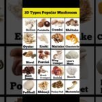 20 types popular mushrooms  | types of mushrooms | All mushrooms name #shortvideo #youtubeshorts