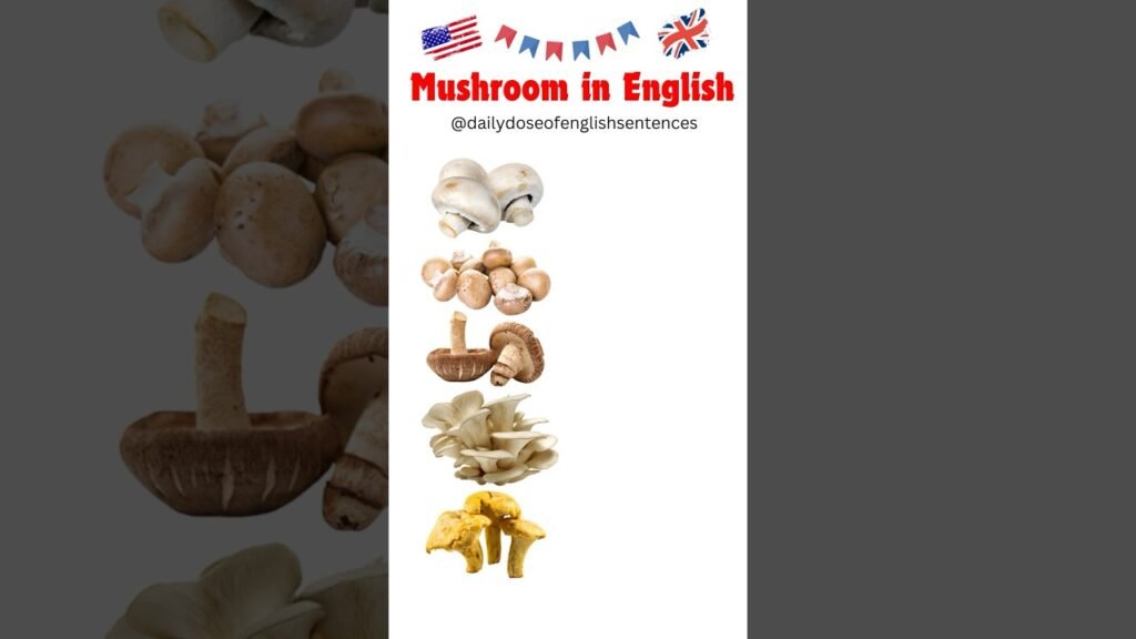 🍄 Mushrooms in English! | Learn Different Types of Mushrooms & Their Names 🌿✨#mushroom #english