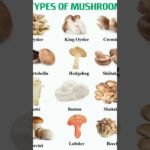 types of mushroom #ytshorts #share #viral #shorts #shortsfeed #mushroom #trending #foodknowledge #yt