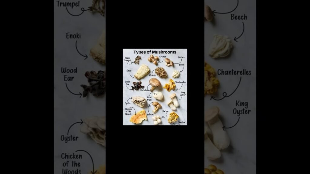 #Types of Mushroom #mushroom #davangere #song