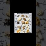 #Types of Mushroom #mushroom #davangere #song