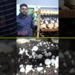 Self Employment తో నెలకి రూ.75 వేలు సంపాదిస్తున్నా #Shorts #Mushroom