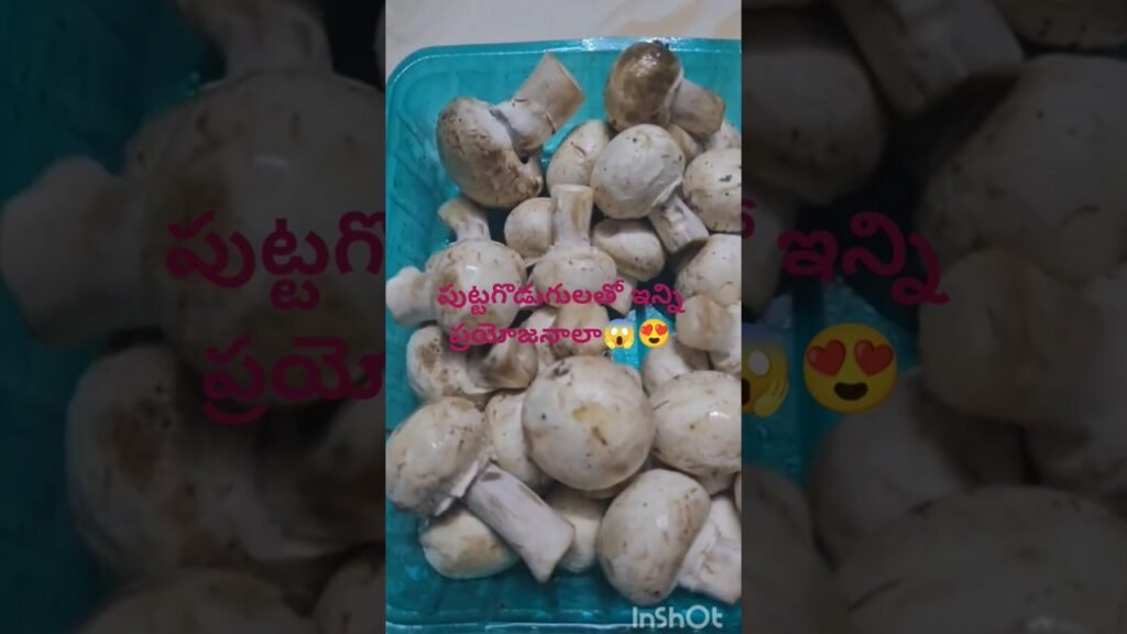 #పుట్టగొడుగులతో ఇన్ని ప్రయోజనాలా?#shorts#mashroom#ytshorts#puttagodugulu#viralvedio#healthy#food#😱😍🍄