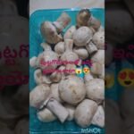 #పుట్టగొడుగులతో ఇన్ని ప్రయోజనాలా?#shorts#mashroom#ytshorts#puttagodugulu#viralvedio#healthy#food#😱😍🍄
