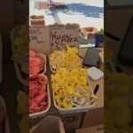 Different types of mushrooms! 🍄🌿 #mushroom#youtubeshorts #shortvideo#ytshorts #youtubemusic #koyila