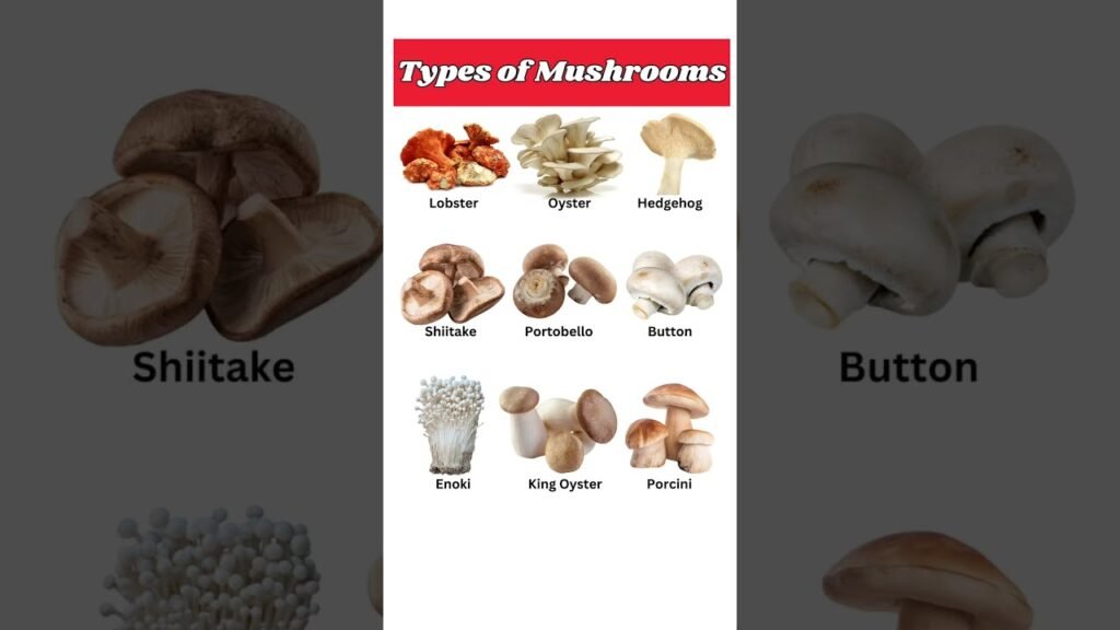 Types of Mushroom #english #shorts #spokenenglish #mushroom