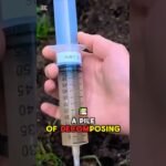 Australian species of #mushroom