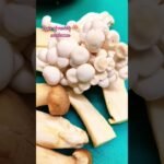 types of variety mushroom 🍄🌈#like #food #foodie #chefselection #mushroomrecipe #lovesong