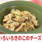 [お酒好きにおすすめ】牡蠣といろいろきのこのチーズリゾット #料理 #料理動画 #まいにちごはん #cooking #おうちごはん