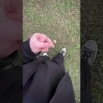 what type of mushroom is this do any of you know? #mushroom #outdoors #fyp  #viralvideo