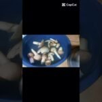 ඉදුරුල්ලා හතු Curry,Idurulla mushroom curry🍄🍄 #food #cooking#mushroomrecipe