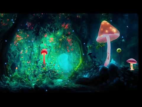 Mushroom Types 🍄 | Which one is Best |