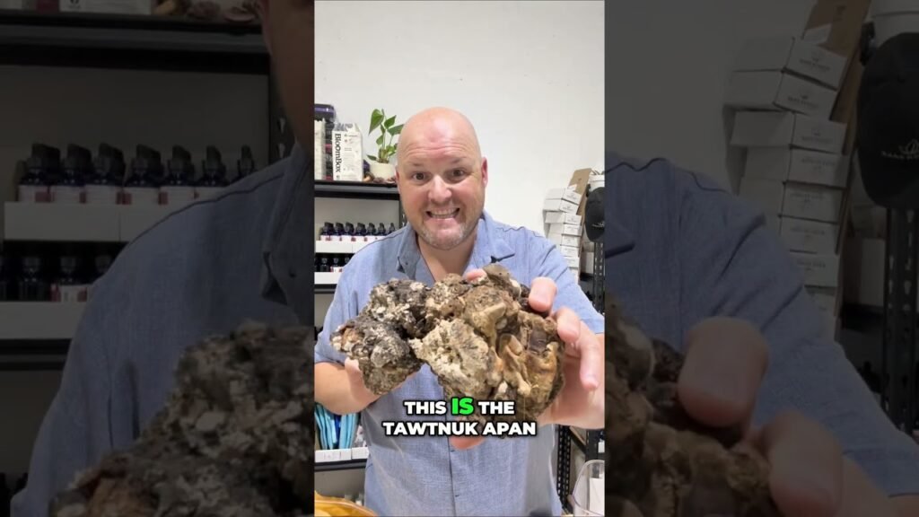 Mushroom ID: Discovering Unique Mushroom Varieties 🍄