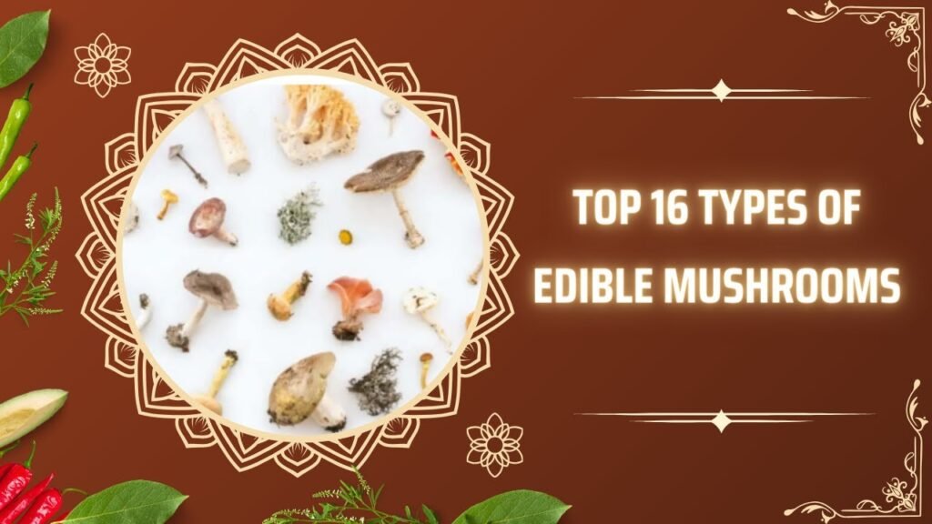 Top 16 Types of Edible Mushrooms