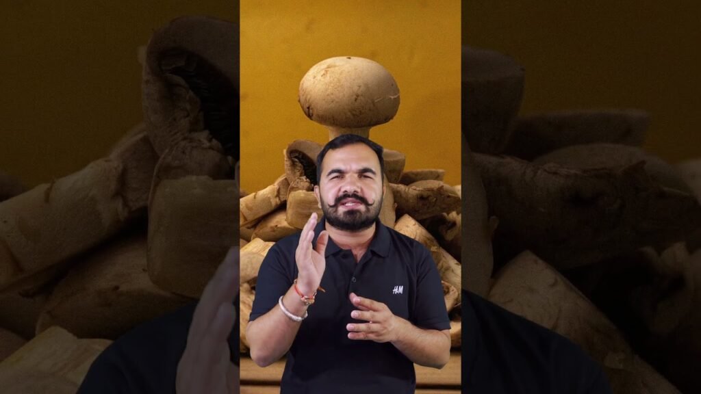 step-by-step mushroom farming | Button mushroom farming | Spawning | Mushroom Seeds varieties #kheti